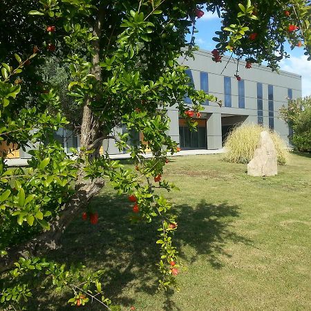 أولبيا Geovillage Apartments المظهر الخارجي الصورة